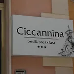 Ciccannina