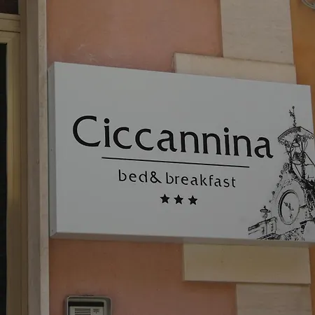 Ciccannina